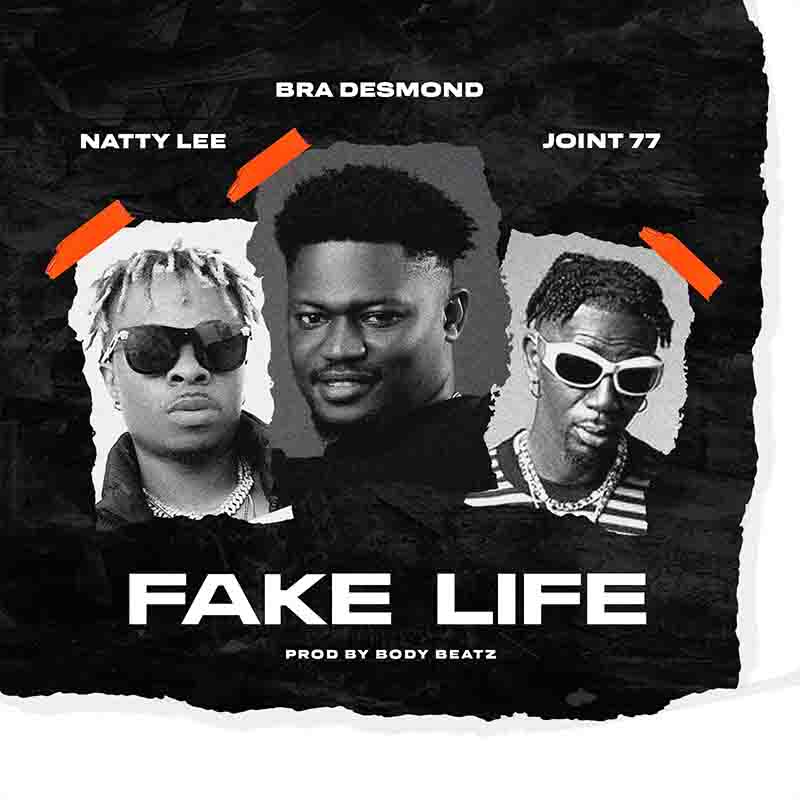 Bra Desmond Fake Life