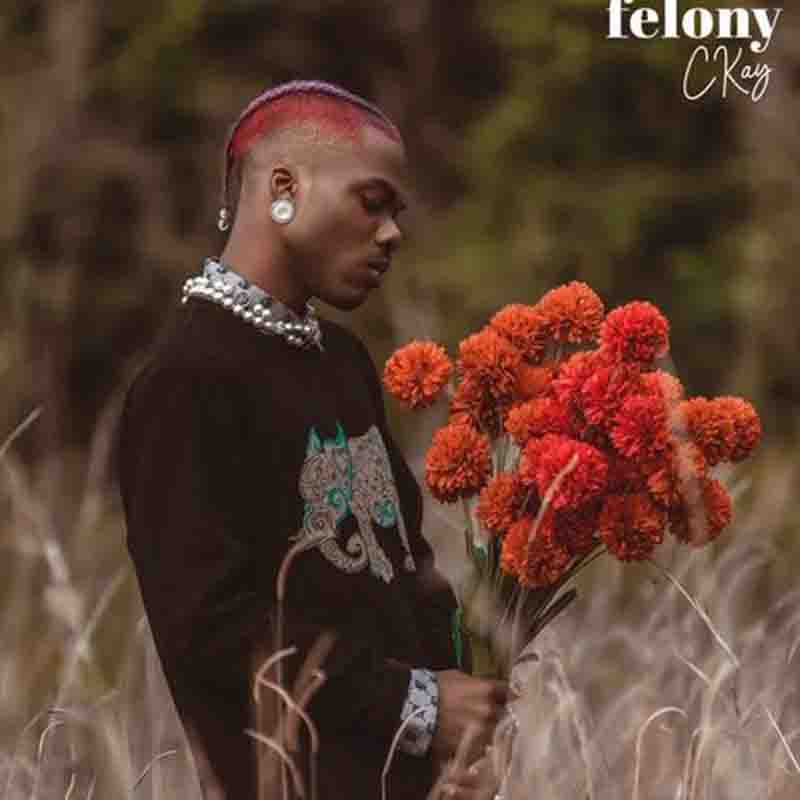 CKay - Felony (Prod. by Auxx) (Naija Afrobeat)