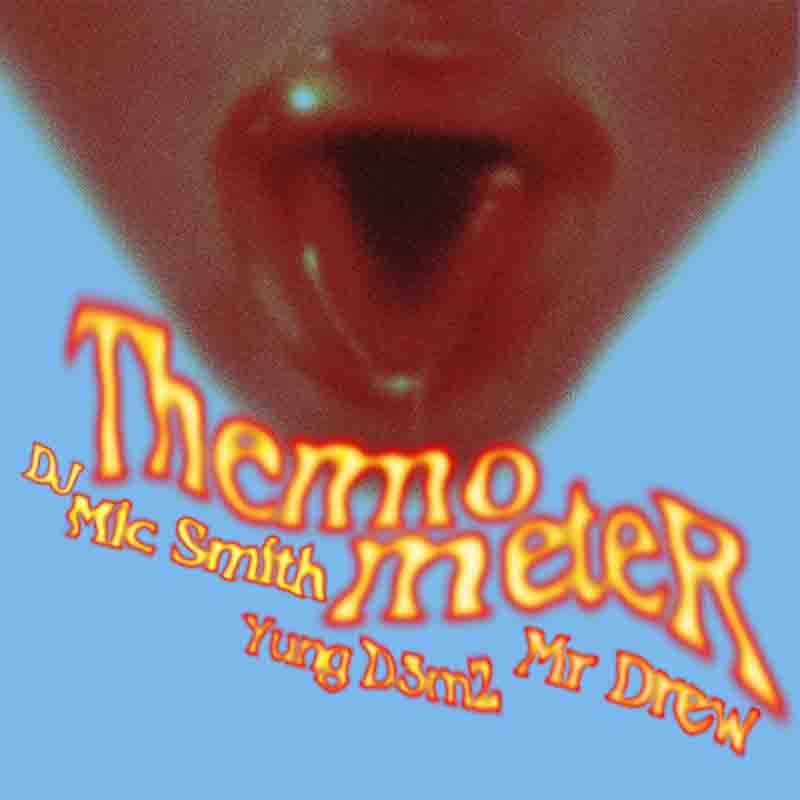 DJ Mic Smith Thermometer