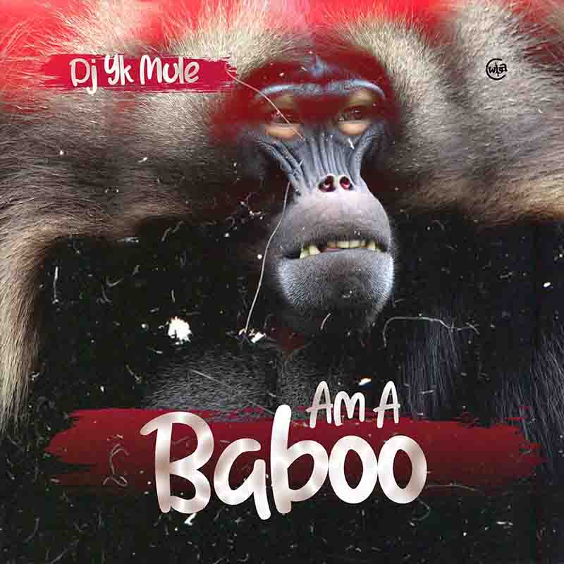 DJ Yk Mule - Am a Baboo (Produced by DJ YK Mule)