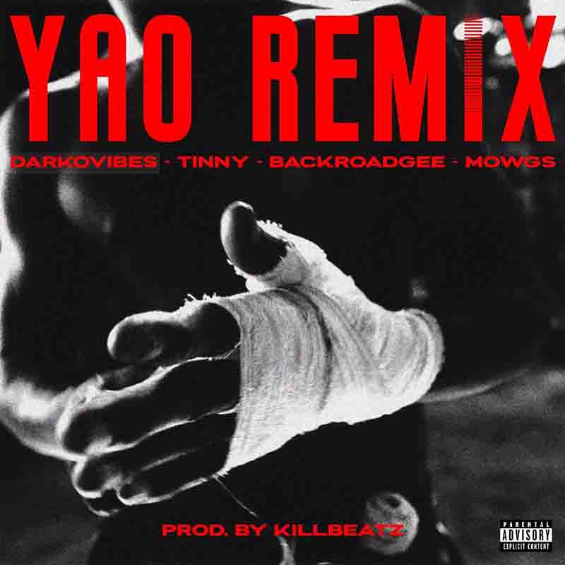 Darkovibes Yao remix