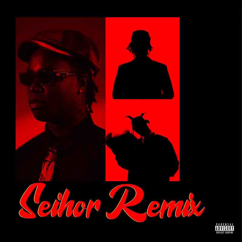 Darkovibes Seihor remix