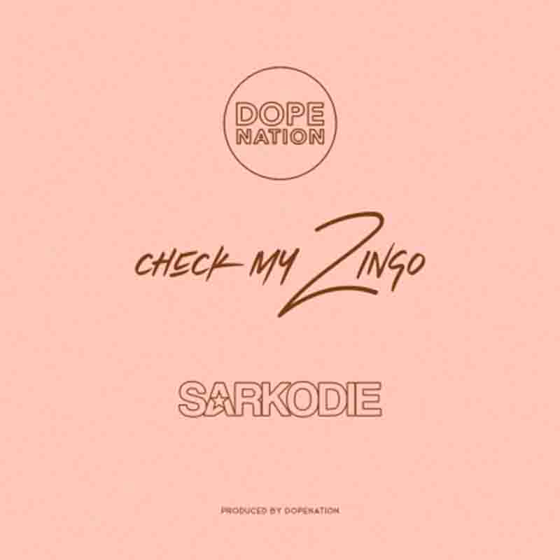 DopeNation - Check My Zingo Remix ft Sarkodie