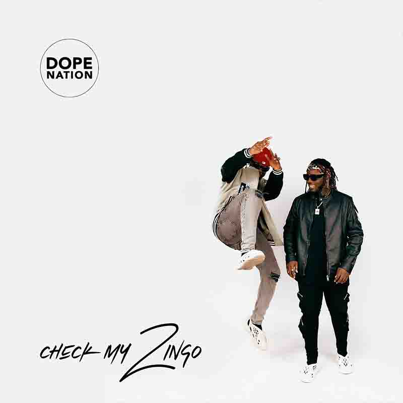 DopeNation - Check My Zingo (Ghana MP3 2023)