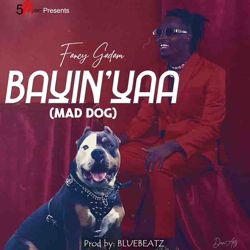 Fancy Gadam - Bayinyaa (Produced by Blue Beatz) - Ghana MP3