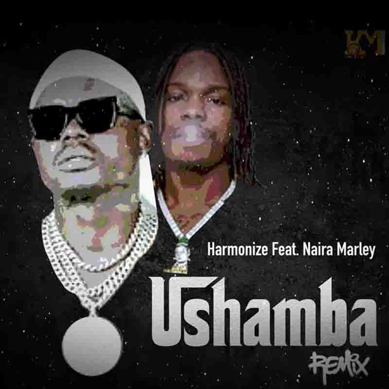 Harmonize - Ushamba Remix ft Naira Marley 