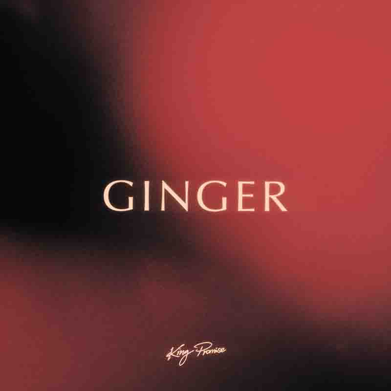 King Promise - Ginger (Produced by Jae5) - Afrobeat 2022