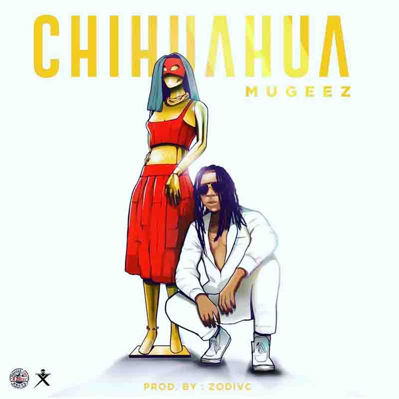 Mugeez Chihuahua