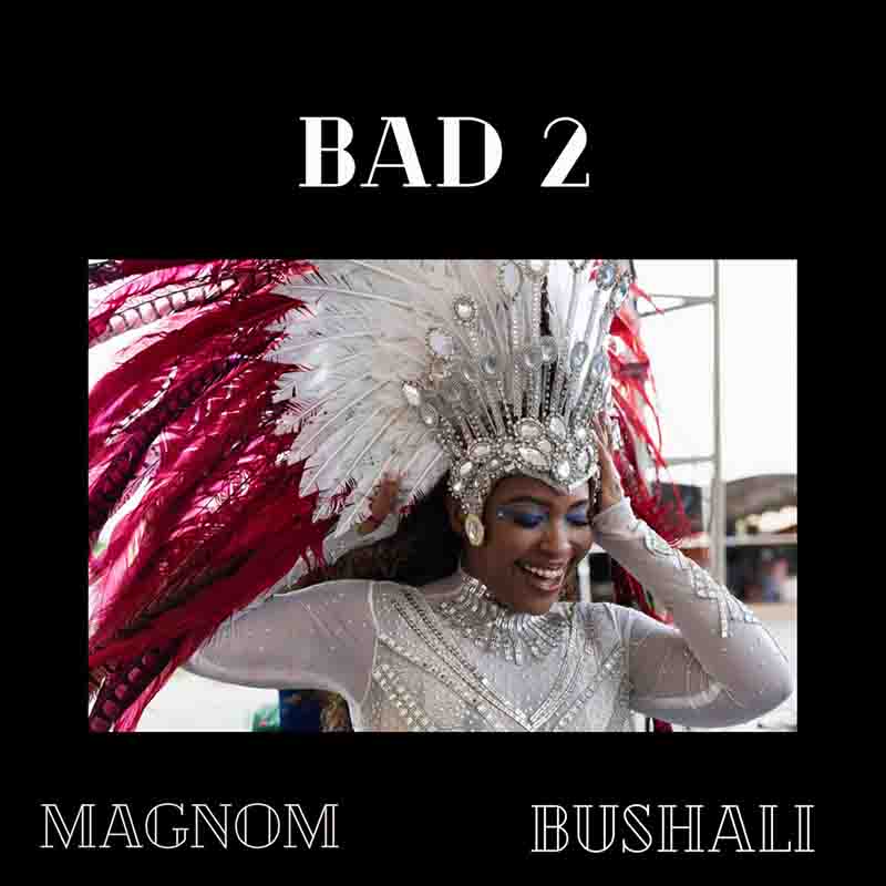 Magnom Bad 2 ft Bushali