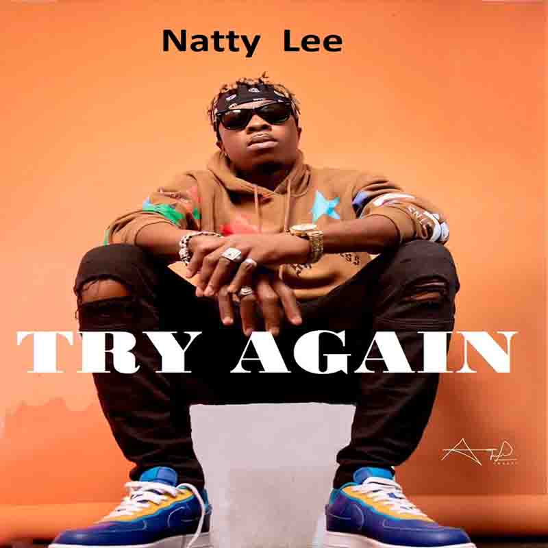 Natty Lee - Try Again (Ghana MP3 Music Download)