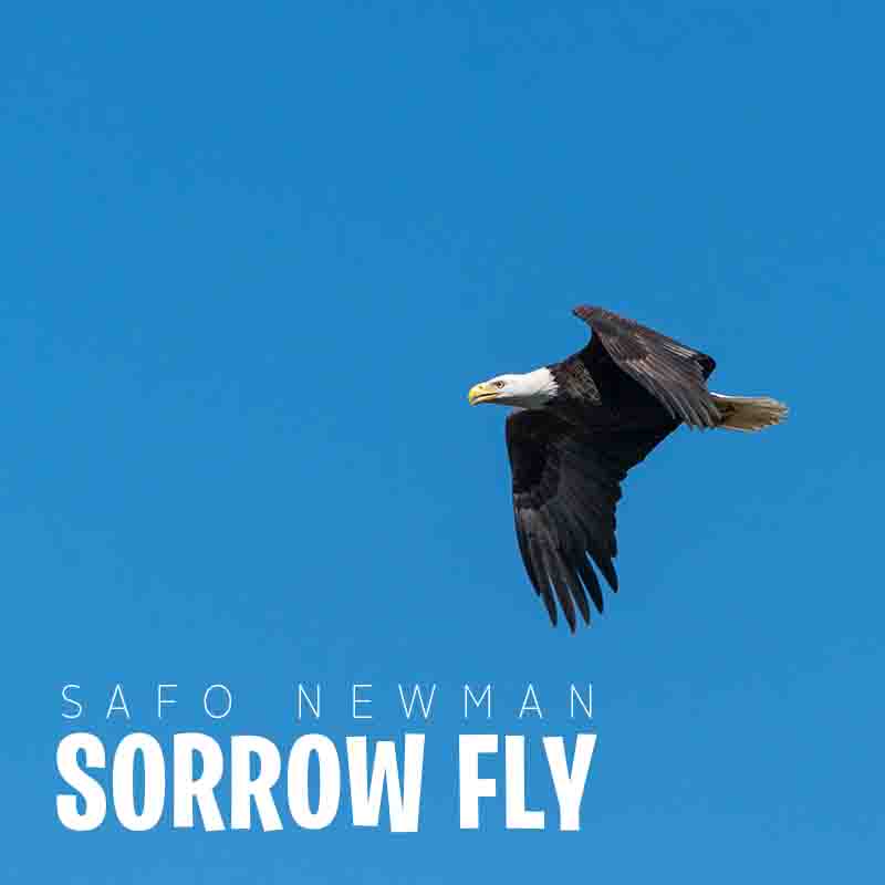 Safo Newman Sorrow Fly