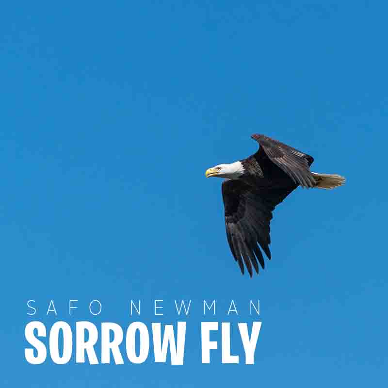 Safo Newman - Sorrow Fly