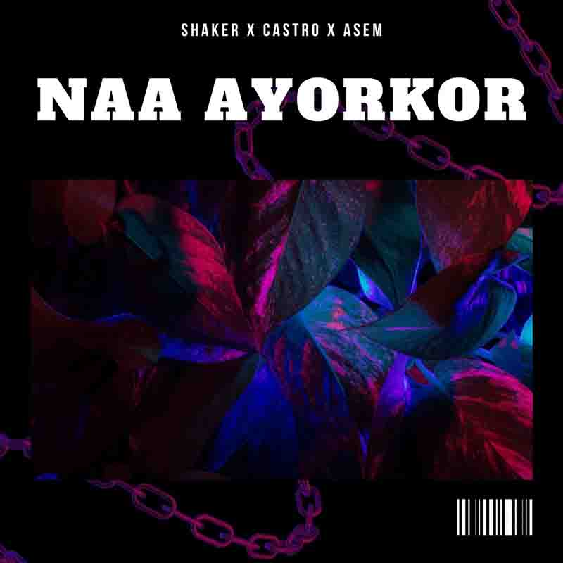 Shaker - Naa Ayorkor (Prod by Shaker) - Ghana MP3