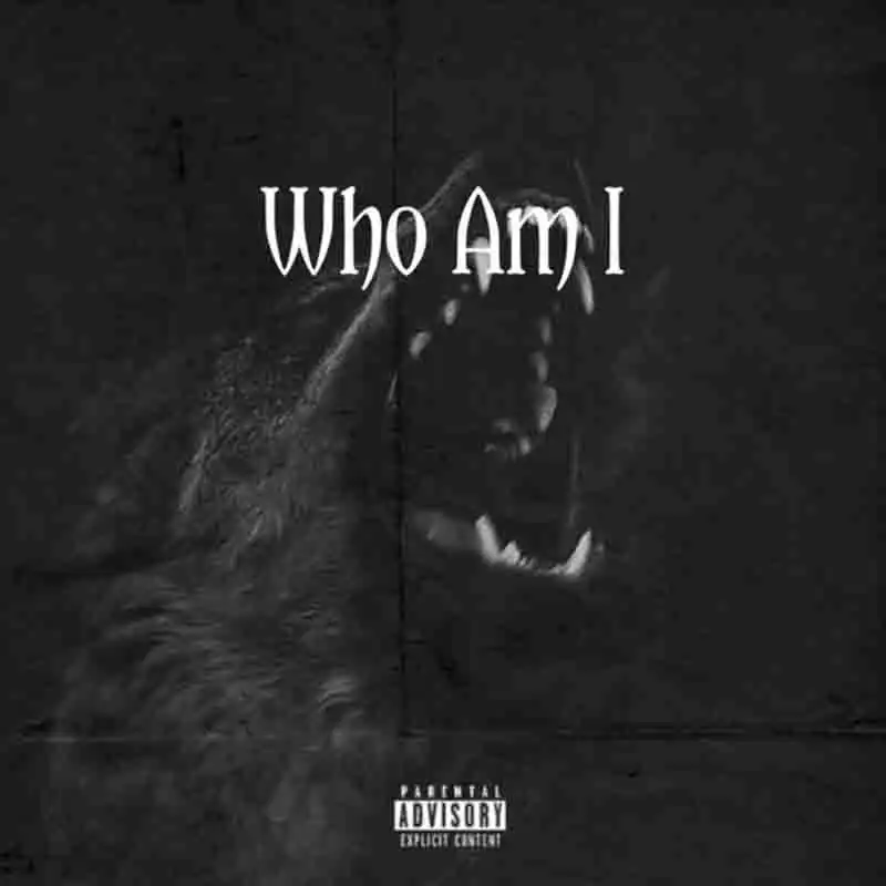 Shatta Wale - Who Am I (Produced by NawtyBoi)