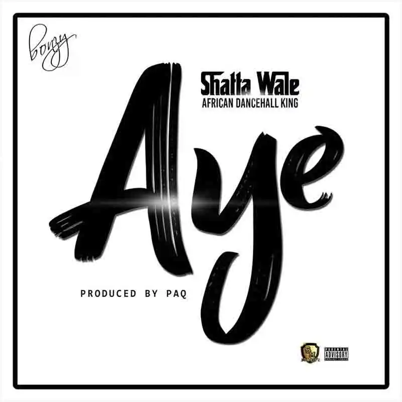 Shatta Wale – Aye (Witch)(Prod. by Paq)