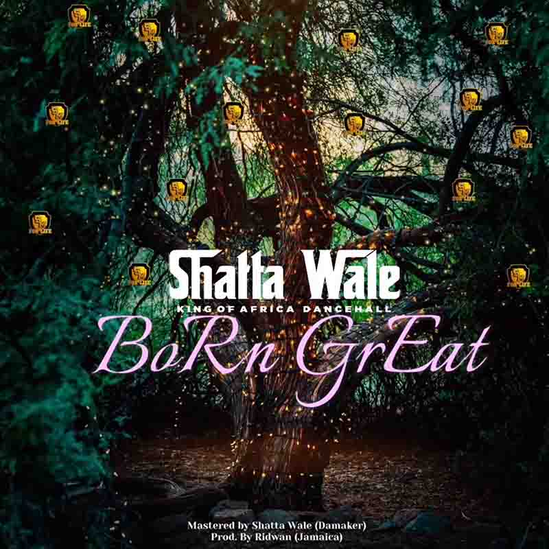Shatta Wale - Born Great (Produced by Ridwan)