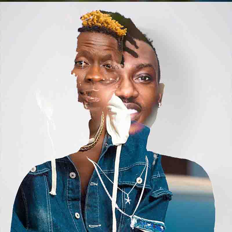 Shatta Wale Understand ft Opanka