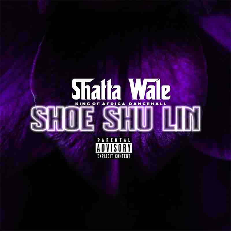 Shatta Wale Shoe Shu Lin