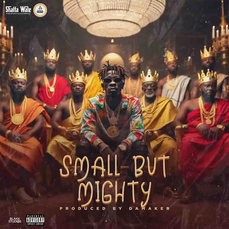 Shatta Wale - Small But Mighty (Prod by Da Maker)