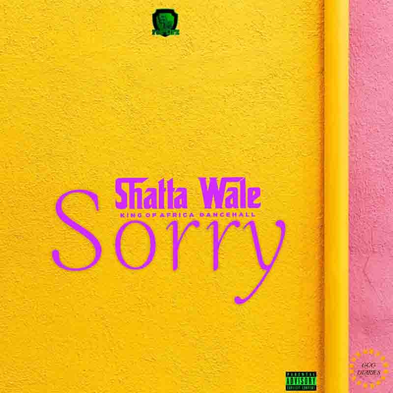 Shatta Wale Sorry