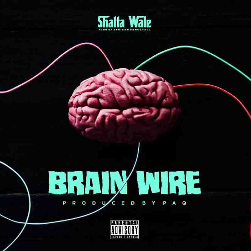 Shatta Wale Brain Wire