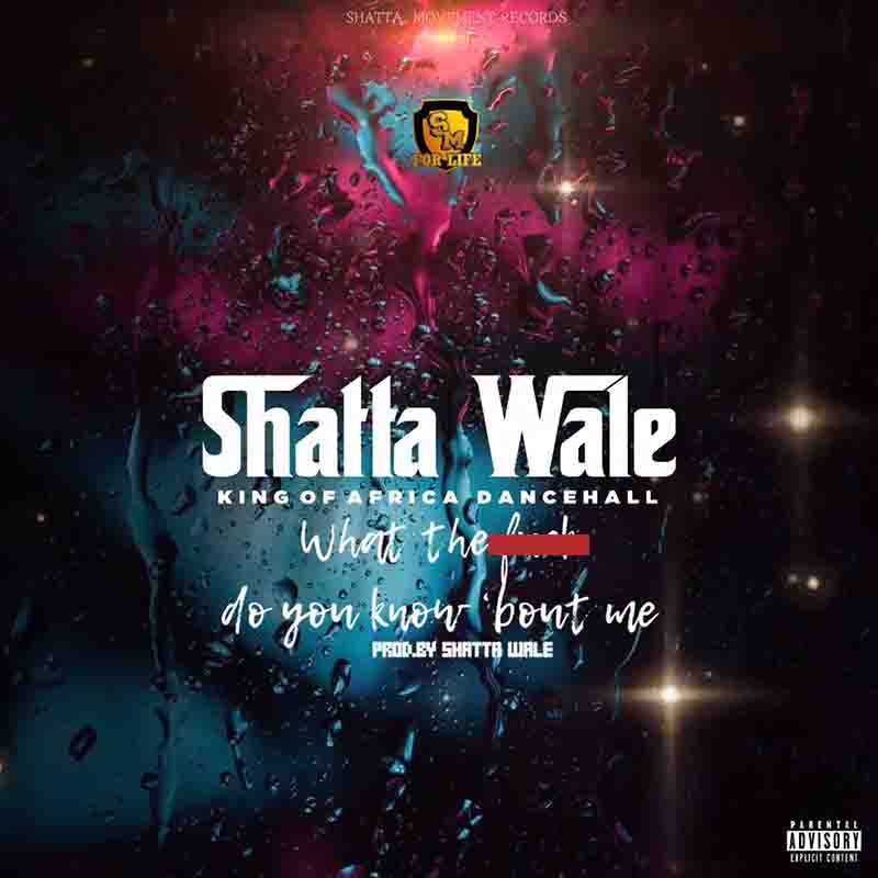 Shatta Wale - What the eff Do You Know About Me