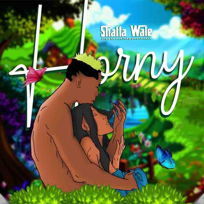 Shatta Wale – #orny