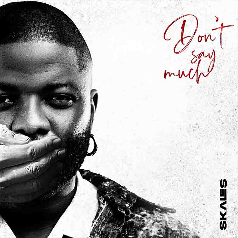 Skales - Don't Say Much (Naija MP3 Music)