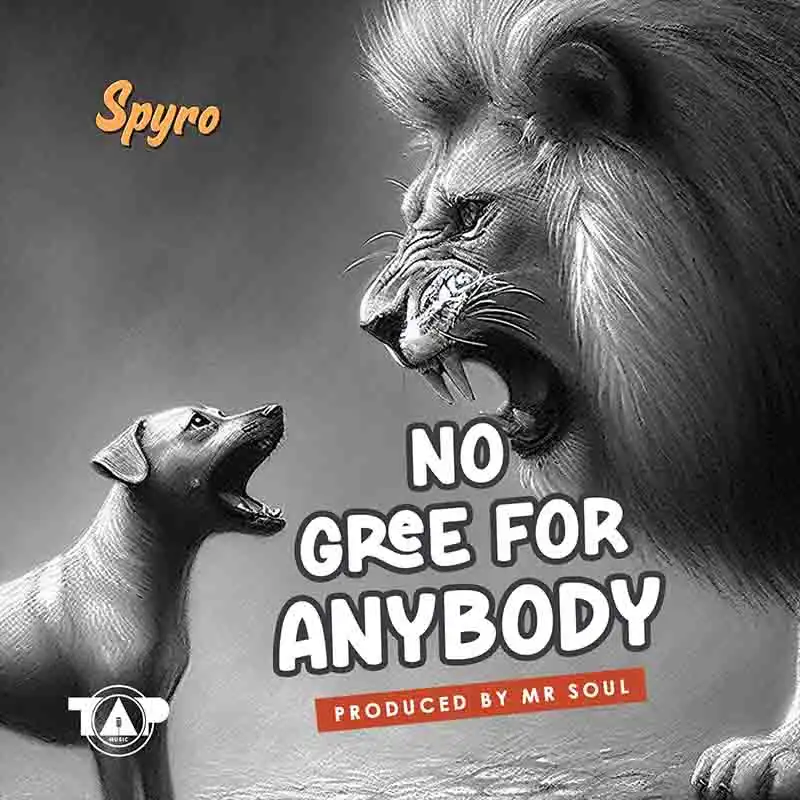 Spyro - No Gree For Anybody (NGFA) 