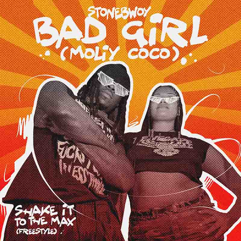 Stonebwoy - Bad Girl (Shake it to the Max Freestyle)