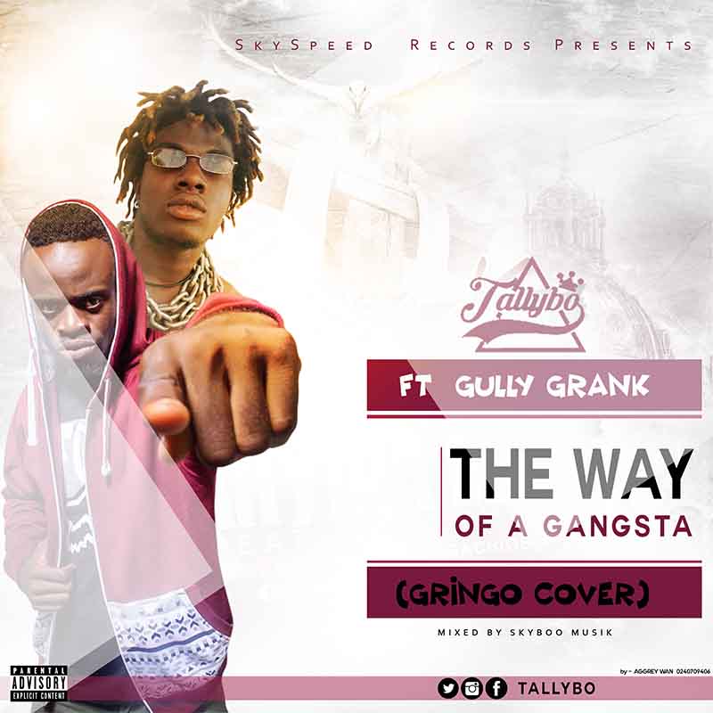 Tallybo Feat Gully Grank - The Way of A Gangsta (Mixed Skyboo Musik)