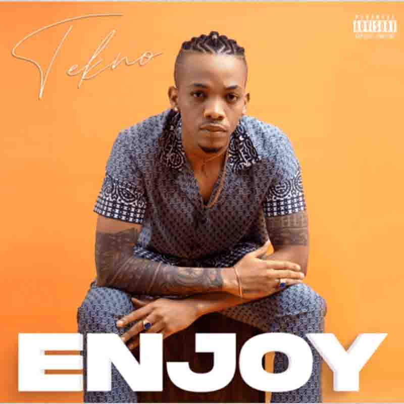 Tekno - Enjoy (Naija Afrobeat MP3)