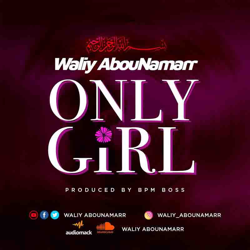 Waliy AbouNamarr – Only Girl (Prod by BPM Boss)