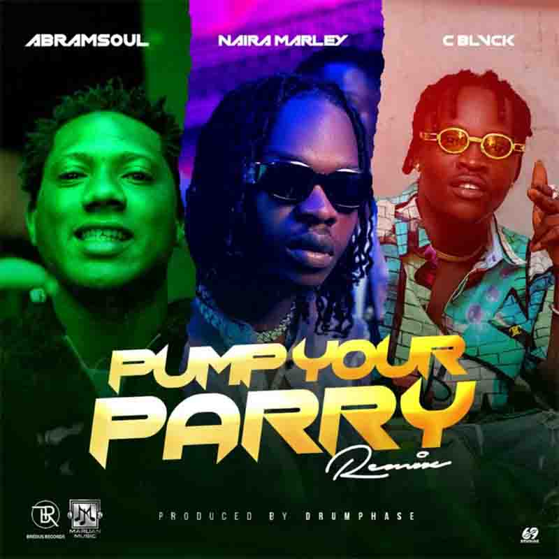 Abramsoul Ft. Naira Marley - Pump Your Parry (Remix)