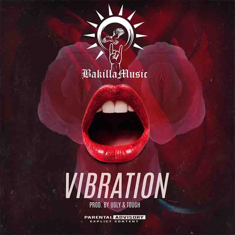 Bakilla - Vibration (Prod by Ugly & Tough) - Ghana MP3