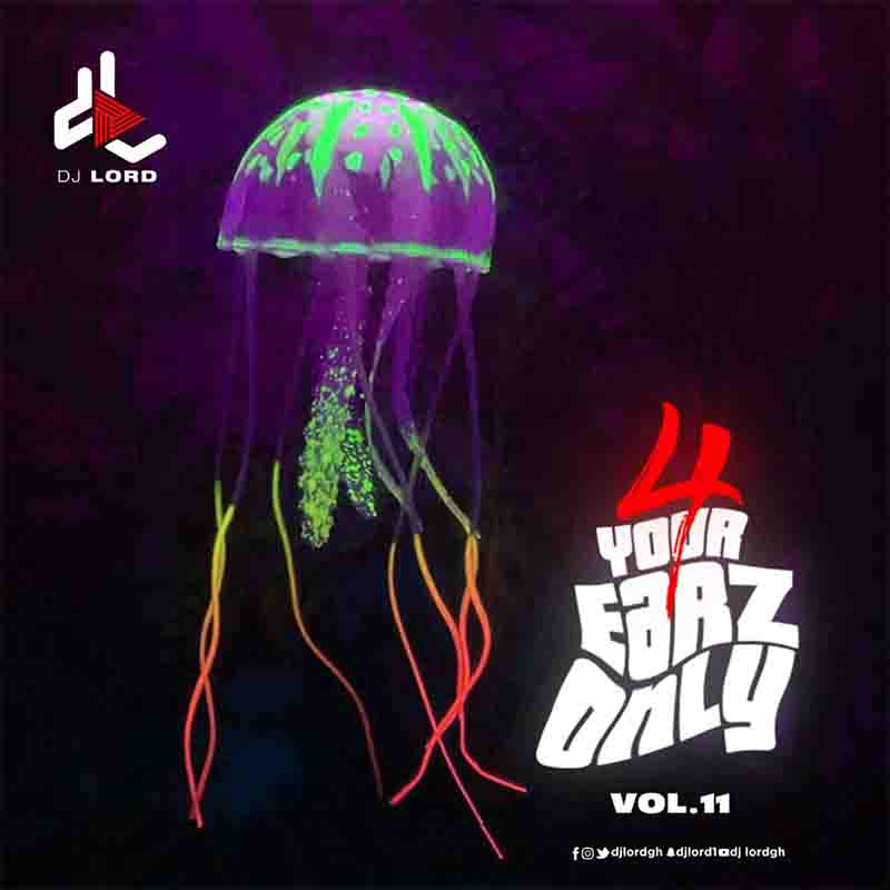 DJ Lord - 4 Your Earz Only (Volume 11) DJ Mixtape