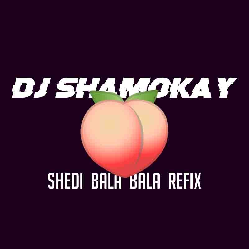 DJ Shamokay - Shedi Bala Bala Refix ft DJ Basplit