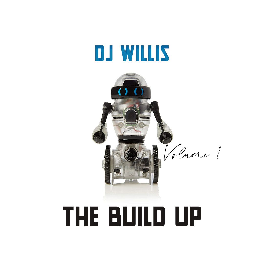 DJ Willis - The Build Up Vol.1 (DJ Mixtape)