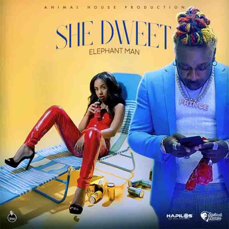 Elephant Man – She Dweet (Prod. by Animal House)