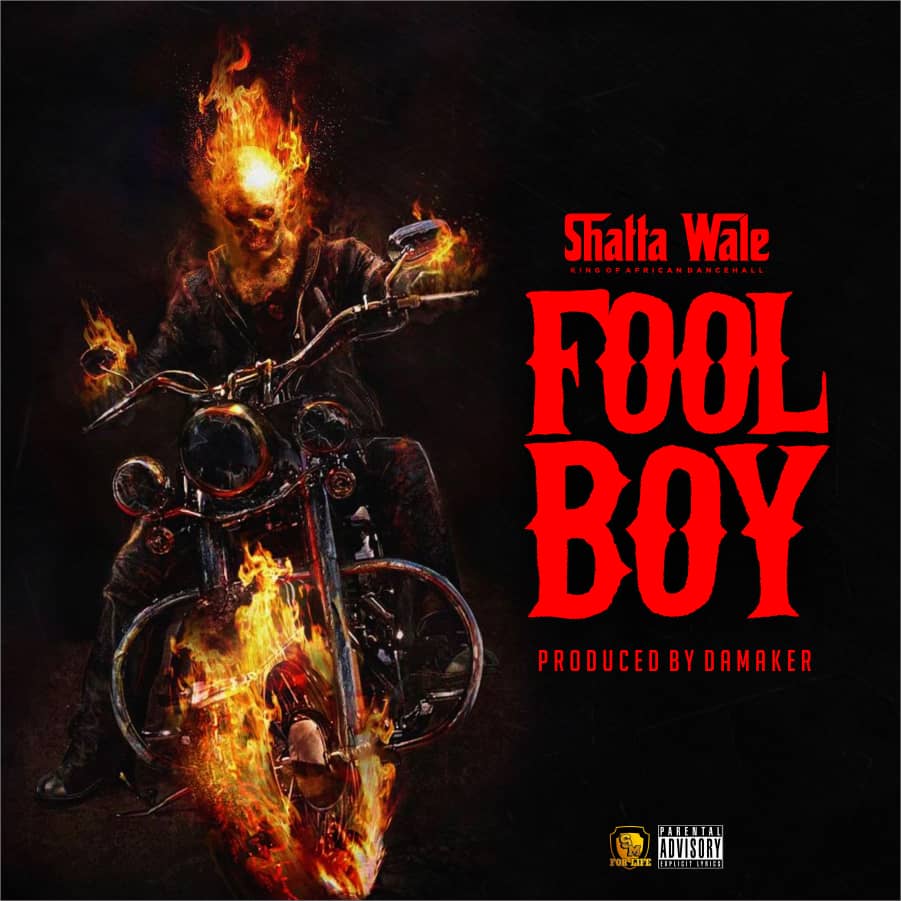 Shatta Wale - Fool Boy (Buffalo Diss) (Prod. by Da Maker)