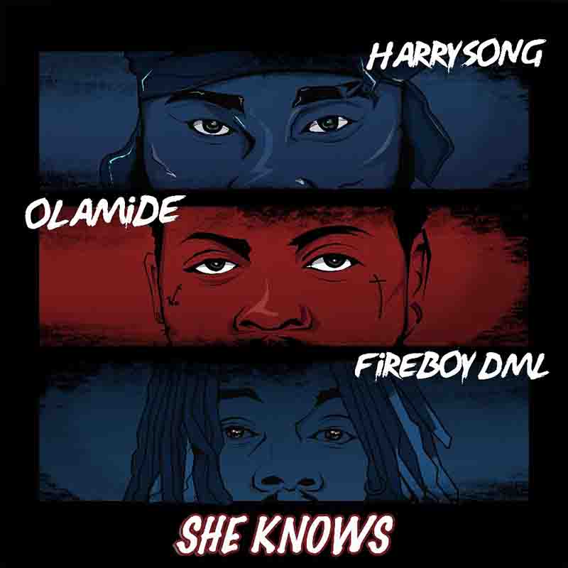 Harrysong - She Knows Ft. Olamide & Fireboy Dml 