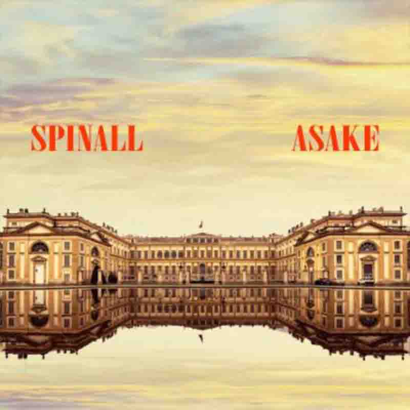 DJ Spinall Palazzo Ft Asake