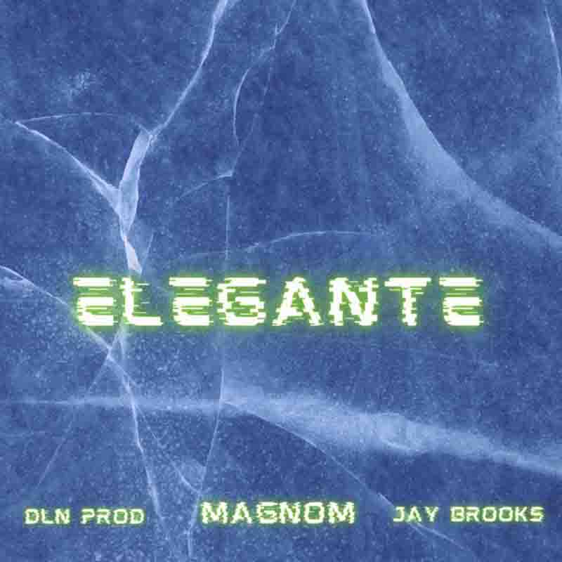 Magnom - Elegante Ft DLN Prod x Jay Brooks (Ghana Mp3)