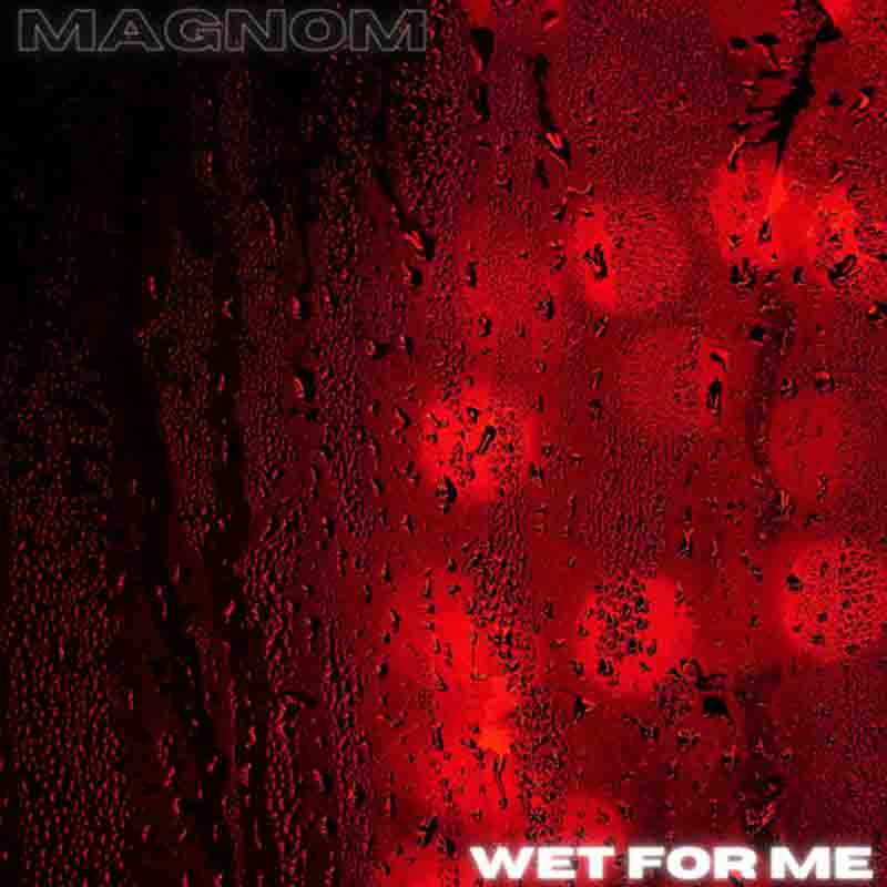 Magnom - Wet For Me (Produced By Magnom) Ghana Mp3