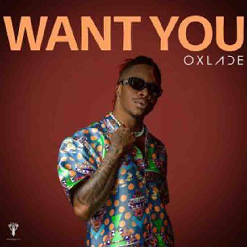 Oxlade - Want You (Naija Afrobeat Mp3 Download 2022)