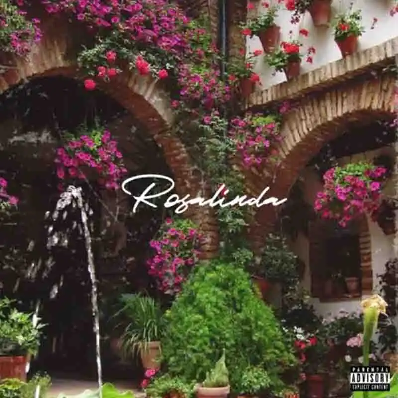 Joey B - Rosalinda (Ghana Afrobeat Mp3 Download 2022)