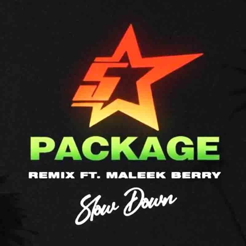 King Promise - Slow Down Remix ft Maleek Berry (Ghana MP3)