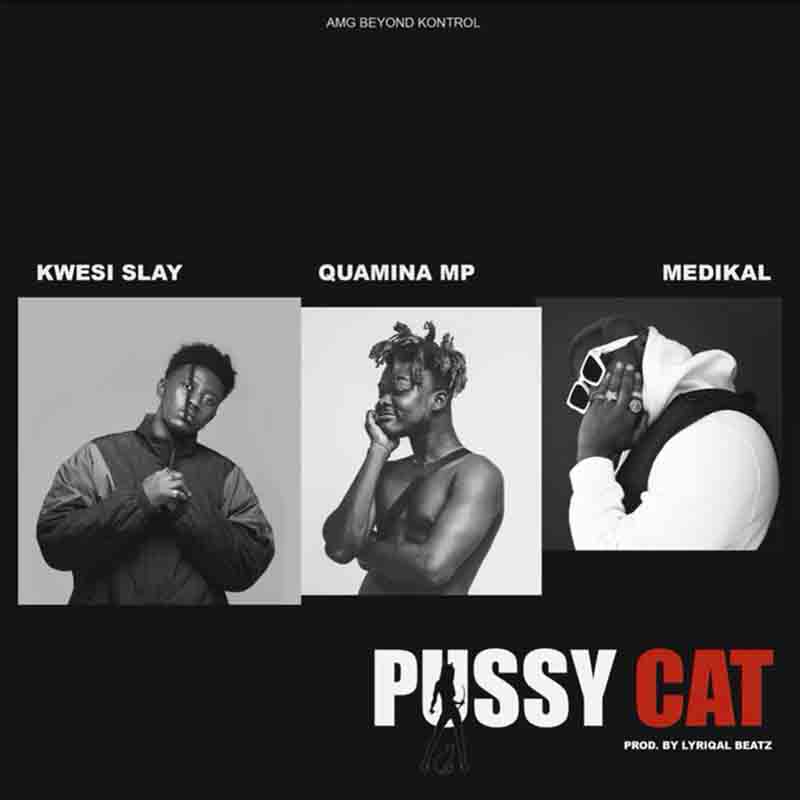 Kwesi Slay feat. Quamina MP & Medikal – Pu$$y Cat (Prod. by Lyrical Beatz)