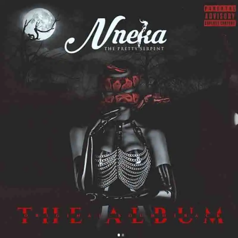 Larry Gaaga - Nneka (The Soundtrack)
