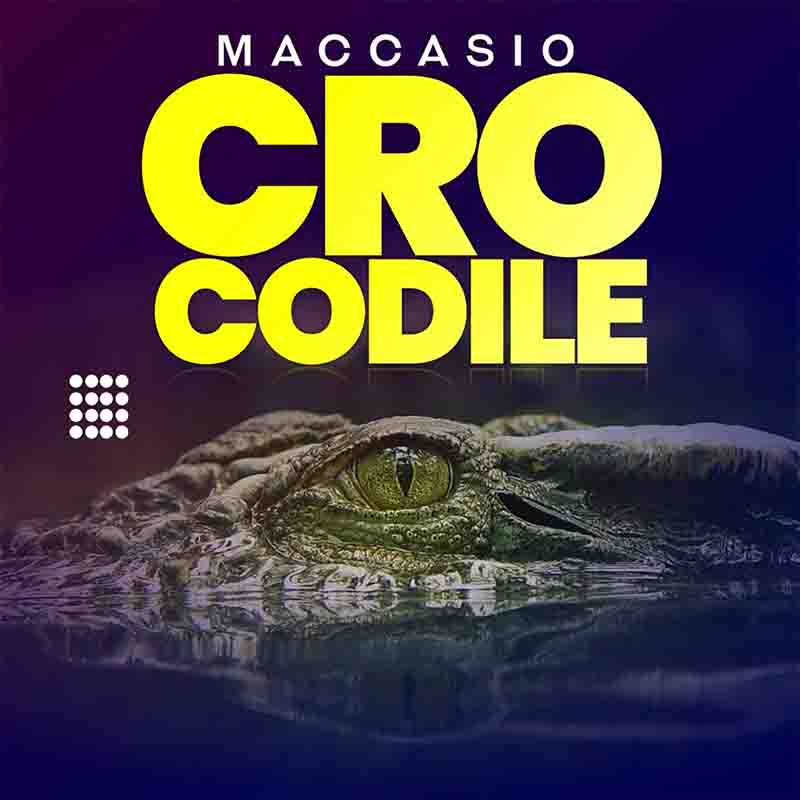 Maccasio Crocodile